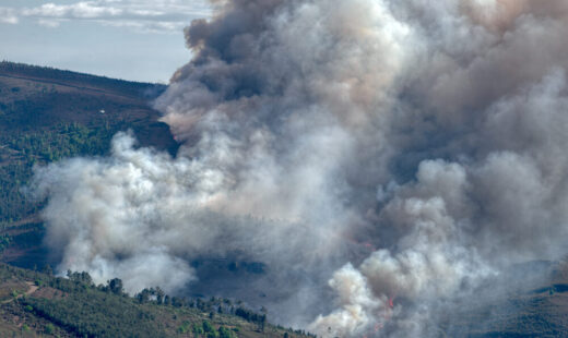 Incendi boschivi in Spagna e Francia