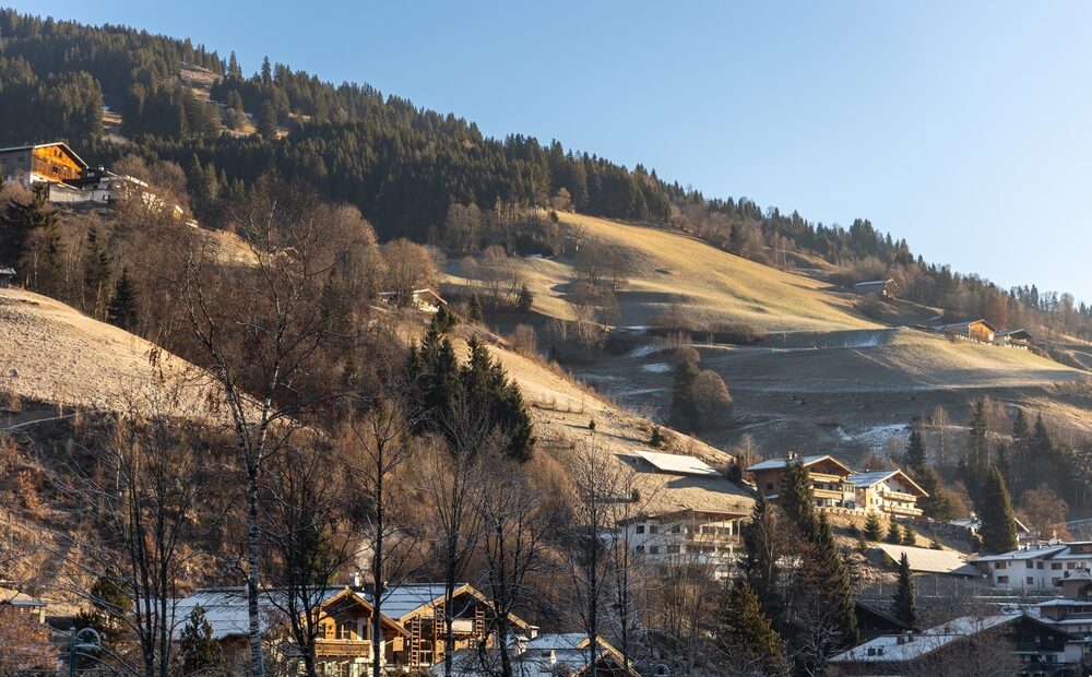 Neve alpina in via di scomparsa