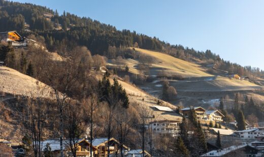 Neve alpina in via di scomparsa