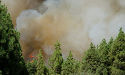 Incendi in Gironda, Francia