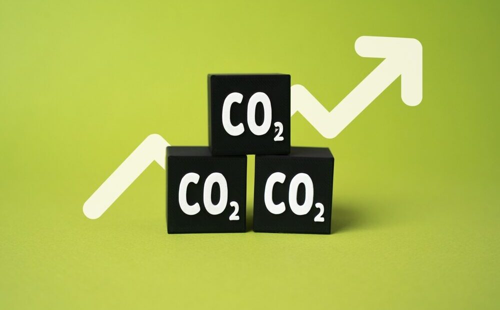 Grafico sul prezzo delle quote di CO2