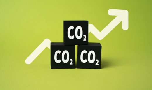 Grafico sul prezzo delle quote di CO2