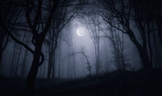 Silent Hill: Townfall - Immagine di gioco
