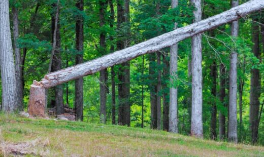 Aumento dei costi produttivi dei pannelli in legno